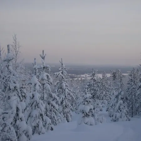 Arctic Circle Rovaniemi