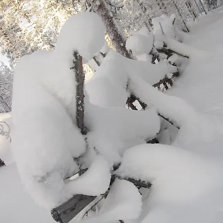 Arctic Circle Апартаменты *