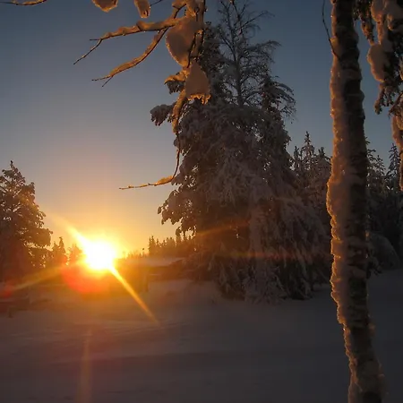 Апартаменты Arctic Circle