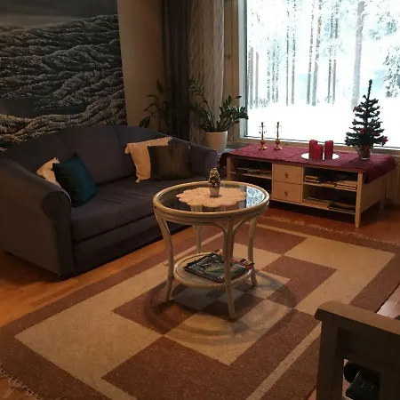 Апартаменты Arctic Circle