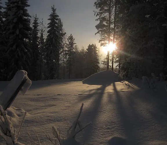 Apartment Arctic Circle *