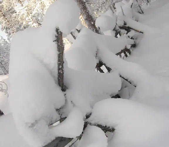 北极圈公寓 公寓 *