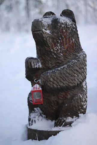 公寓 北极圈公寓 *